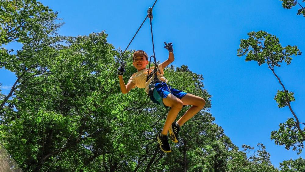 【11/6(木)～30(日)箱根】フォレストアドベンチャー・箱根で森の樹上アクティビティ体験！