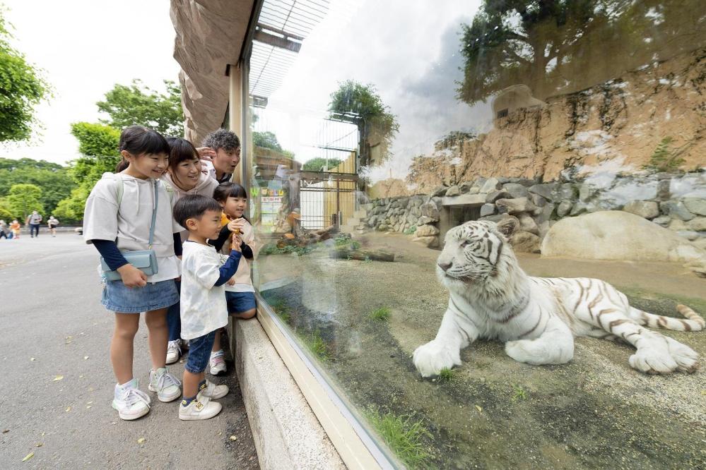 【12/22（日）埼玉】東武動物公園にご招待。ウィンターイルミネーション・ナイトZooも楽しめます！