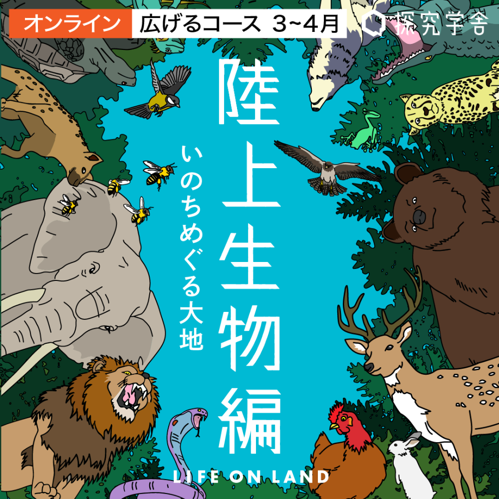 【テーマは「陸上生物」】探究学舎のオンライン教室＜広げるコース＞3-4月（全8回）